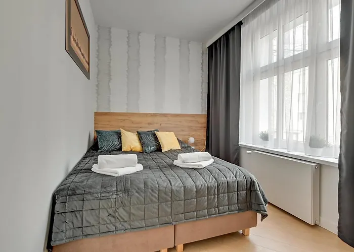 Royal Rose - Premium *